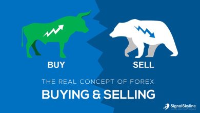 Buying and selling positions in the forex market